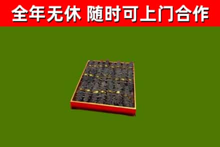 坪山区回收海参
